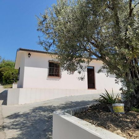 Villa Paradiso Montegiordano Eksteriør billede