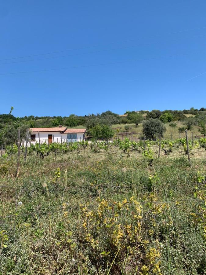 Villa Paradiso Montegiordano Eksteriør billede